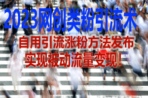 (5534期)2023网创类粉引流术,自用引流涨粉方法发布,实现被动流量变现!