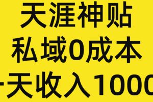 （7869期）火爆的天涯神贴抖音+私域0成本一单28一天收入1000+