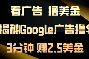 (10912期)看广告,撸美金!3分钟赚2.5美金!日入200美金不是梦!揭秘Google广告…