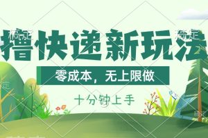 (11365期)撸快递最新玩法,零成本,无上限做,日产1000+。课程看完就会