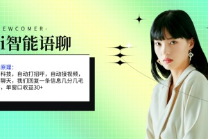 (11383期)ai智能语聊,单窗口30+单机500+,无脑干!!!