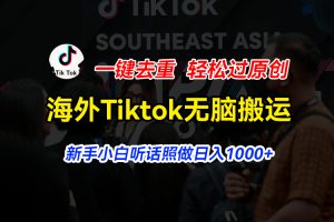 （11487期）海外Tiktok短视频无脑搬运，一键去重轻松过原创，新手小白听话照做日入1000+