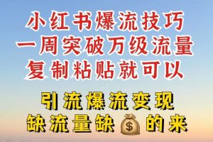 小红书爆流技巧，一周突破万级流量，复制粘贴就可以，引流爆流变现【揭秘】