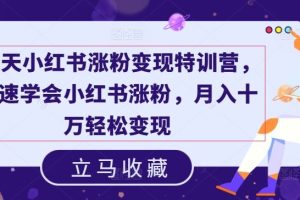 19天小红书涨粉变现特训营，快速学会小红书涨粉，月入十万轻松变现