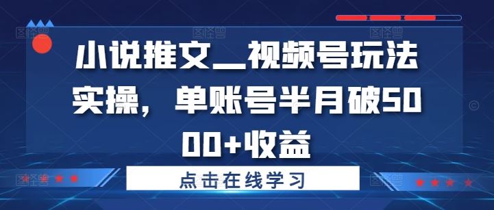 小说推文—视频号玩法实操，单账号半月破5000+收益