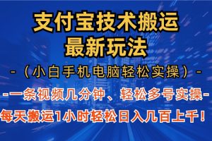 （13204期）支付宝分成技术搬运“最新玩法”（小白手机电脑轻松实操1小时） 轻松日…