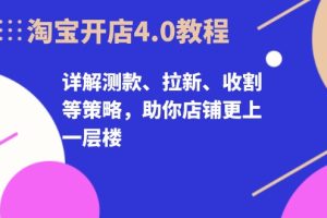 （13202期）淘宝开店4.0教程，详解测款、拉新、收割等策略，助你店铺更上一层楼