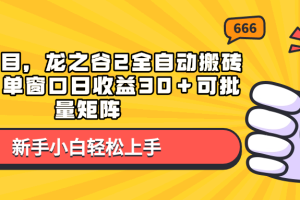 （13769期）蓝海项目，龙之谷2全自动搬砖游戏，单窗口日收益30＋可批量矩阵