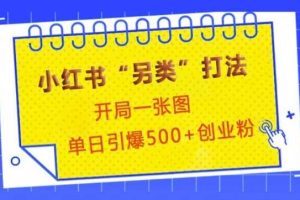 小红书“另类”打法,开局一张图,单日引爆500+精准创业粉【揭秘】