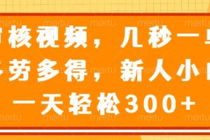 （14294期）审核视频，几秒一单，多劳多得，新人小白一天轻松300+