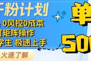抖音千粉计划，日入500+，包落地，当日拿成果