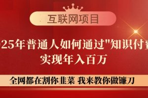 （14466期）【网创项目终点站-镰刀训练营超级IP合伙人】25年普通人如何通过“知识…