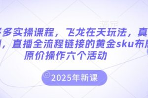 拼多多实操课程，飞龙在天玩法，真实案例，直播全流程链接的黄金sku布局原价操作六个活动