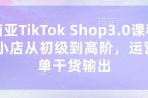 东南亚TikTok Shop3.0课程，TK小店​从初级到高阶，运营出单干货输出