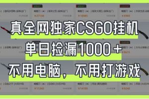 真全网独家CSGO挂机，单日捡漏1000+，不用电脑，不用养号