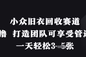 小众旧衣回收赛道，纯零撸 打造团队可享受管道收益，一天轻松3张
