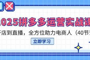 2025拼多多运营实战课，从开店到直播，全方位助力电商人（40节课）