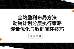 （14698期）全站盈利布局方法：动销计划分层执行策略，爆量优化与数据闭环技巧