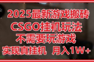 2025最新游戏搬砖，CSGO挂G，不需要玩游戏，实现真挂G，月入1W+【揭秘】