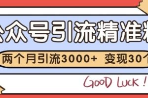 公众号精准粉引流玩法，2个月3000+精准粉，变现30个W【揭秘】