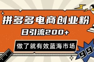 拼多多引流电商创业粉，日引200+，可矩阵放大，做了就有效【揭秘】