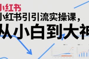 小红书引流实操课，从小白到大神