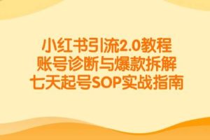 小红书引流2.0教程，账号诊断与爆款拆解，七天起号SOP实战指南