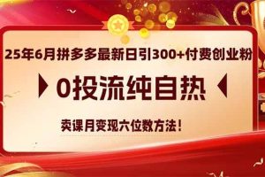 （14989期）25年6月拼多多最新日引300+付费创业粉，0投流纯自热 卖课月变现六位数方法