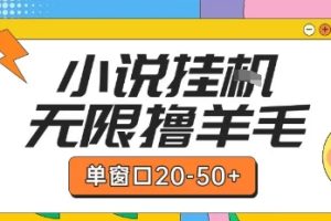 最新小说挂G自撸玩法本人实操单窗口20-50+可矩阵放大操作【揭秘】