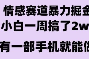 情感暴力掘金项目，新人操作一周挣了2W，长期稳定小白可做【揭秘】