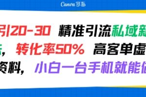 日引 20-30 精准引流私域新玩法，转化率50% 高客单虚拟资料，小白一台手机就能做