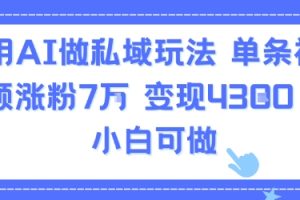 用AI做私域玩法，单条视频涨粉7W变现4.3k，小白可做
