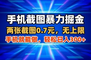 手机截图暴力掘金，两张截图0.7米，一部手机就能做，轻松日入3张+【揭秘】