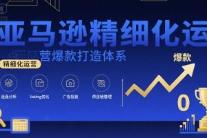亚马逊精细化运营爆款打造体系，视频课+全套资料文档