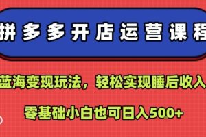 拼多多开店运营课程：蓝海变现玩法，轻松实现睡后收入，零基础小白也可日入5张
