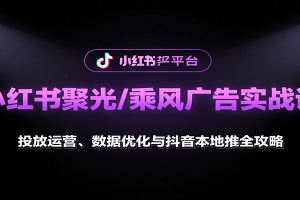 小红书聚光/乘风广告实战课:投放运营、数据优化与抖音本地推全攻略