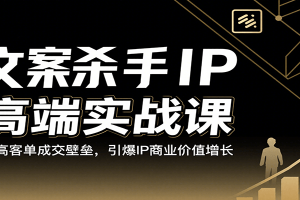 文案杀手IP高端实战课:破高客单成交壁垒,引爆IP商业价值增长