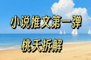 【小说推文】2025A0B1项目操作全流程第一弹，0粉就能做，门槛低非常适合新手