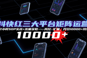 抖快红三大平台矩阵运营，12小时SOP实战+流量获取-风控-扩量，月引10000+线索