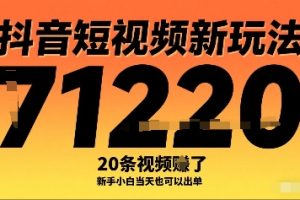 抖音短视频新玩法，20条视频挣了1w+，新手小白当天也可以出单