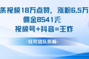 一条视频18W点赞，涨粉6.5W粉佣金8541米，视频号+抖音=王炸
