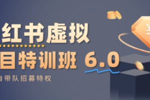 小红书虚拟项目特训课6.0，帮你从0到1打造稳定盈利的店铺，抓住流量红利