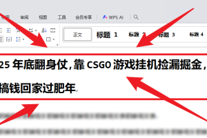 25年底翻身仗，靠CSGO游戏挂机捡漏掘金，搞钱回家过肥年