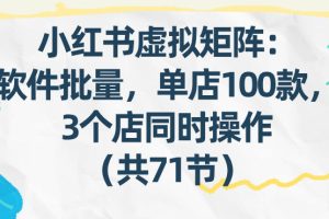 小红书虚拟矩阵：软件批量发笔记，单店100款，3个店同时操作（共71节）