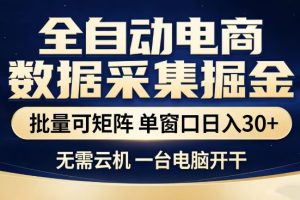 全自动电商数据集掘金，批量可矩阵，单窗口日入30+，无需云机，一台电脑开干【揭秘】