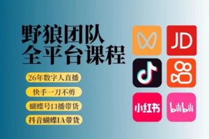 野狼团队2026新版全平台短视频带货教学,打开流量突破口,开始Ai带货(更新26年3月)